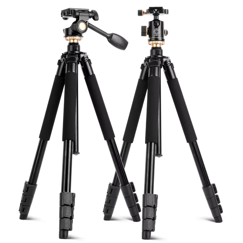 PB Sport 20-60x80 ED + Q600 Pro