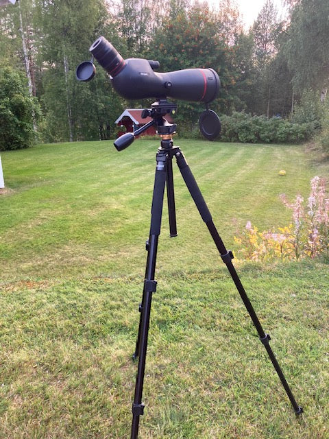 PB Sport 20-60x80 ED 45gr + PB Sport Q450 Pro