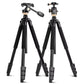 PB Sport 20-60x80 ED + Q600 Pro