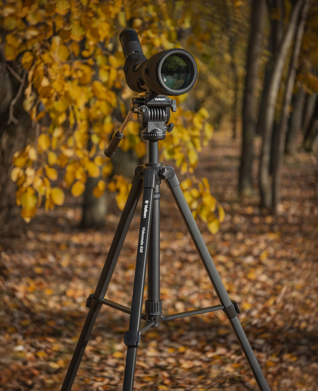 Celestron Trailseeker 20-60x80 inkl.Stativ Velbon 638