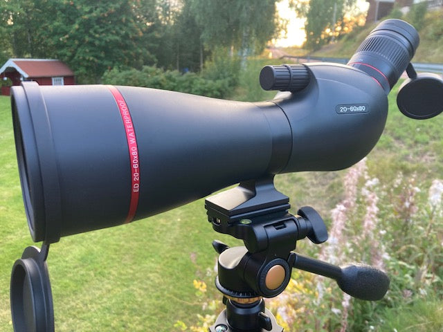 PB Sport 20-60x80 ED 45gr + PB Sport Q450 Pro